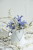 Emaillekanne gefüllt mit Iris und Pflaumen-Blütenzweigen