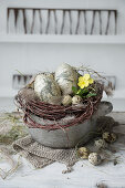Easter nest with decorative eggs, honeysuckle, and quail eggs