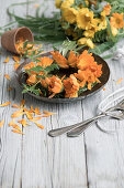 Kranz aus Ringelblumen (Calendula), Blüten auf Teller