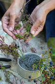 Arranging a flower arrangement with heather and blueberries in a bowl with crumpled wire mesh