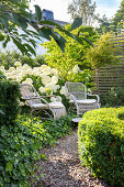 Sitzplatz mit weißen Hortensien und Efeu am Gartenweg entlang