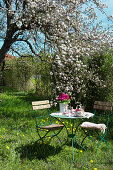 Kleiner Tisch mit Stühlen unter blühendem Obstbaum im Garten
