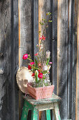 Spring flowers in a planter, spring decoration