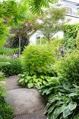 Garden path with lush planting