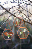 Snowdrops hanging from a branch in a copper-coloured glass frame