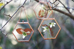 Snowdrops hanging from a branch in a copper-coloured glass frame