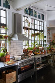 Plant collection in loft kitchen with industrial accents
