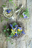 Eggshells filled with grape hyacinths (Muscari) and primroses (Primula veris) in an Easter nest made of birch twigs and in an enamel pot