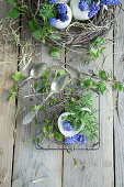 Silver spoon with mini wreath of birch twigs and grape hyacinths (Muscari) in egg shells