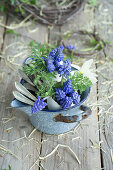 Eggshells filled with grape hyacinths (Muscari), daffodils and silver spoons in a rustic enamel pot