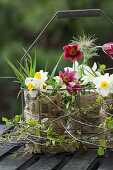 DIY-Vasen aus Weckgläsern und Sackstoff mit Frühlingsblumen im Flaschenkorb, Küchenschelle (Pulsatilla) und Narzissen (Narcissus)