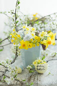 Frühlingsstrauß aus Narzissen (Narcissus) und Schlüsselblumen (Primula veris), Obstblütenzweige und Eierschale mit Ostergruß