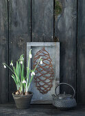 Snowdrops in clay pot with metal pinecone and teapot