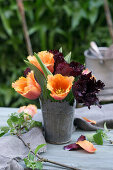 Fringed tulips in a metal pot