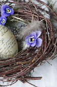 Easter egg with lettering, horned violets (Viola cornuta) and feather in a nest of birch twigs, close-up