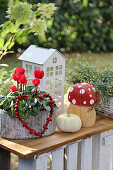 Decoration with wooden toadstool, pumpkin, little house, cyclamen, rosehip heart and Mühlenbeckia in a basket