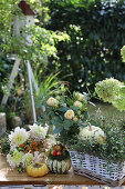Herbstliche Deko mit Kürbissen, Chrysanthemen, Rosen, Mühlenbeckia, im Hintergrund Taubenhaus und Gräser