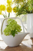 Teekanne mit Schneeball (Viburnum) und Frühlingssträußen auf Esstisch