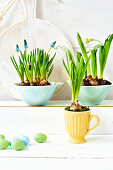 Spring flowers in cups and bowls on a white shelf