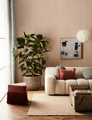Cosy living room with beige bouclé sofa and large rubber tree