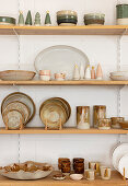 Ceramic pots and potted Christmas trees on wooden shelves