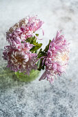 Chrysanthemums (chrysanthemum) on a light grey stone table