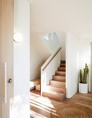 Light-flooded hallway with wooden staircase and decorative cactus