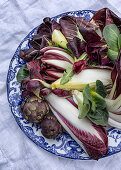 Plate with treviso, chicory, pak choy and artichokes