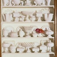 White pottery on shelves