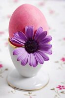 Ein rosa Osterei im Eierbecher mit Blüte