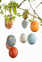 Easter eggs on a branch
