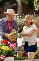 Couple gardening