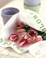 Tulpen in einer Stoffserviette