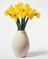 Gelbe Narzissen in Vase