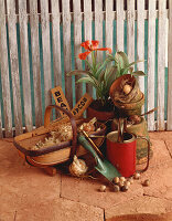 Gardening Tools and Flower Pots with Assorted Bulbs and Garden Signs
