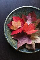 Herbstblätter in Keramikschale