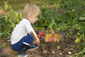 Kleiner Junge bei der Gartenarbeit