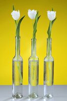 Drei Flaschen mit weissen Tulpen