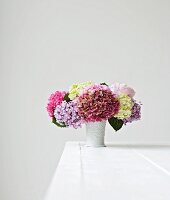 Colourful hydrangeas in vase on white table
