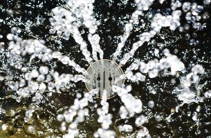 Water bubbling out of a sprinkler