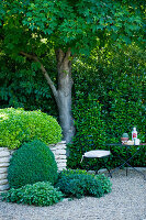 Idyllic seating area in the garden with boxwood and gravel path