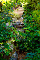 Narrow, plant-lined stream running over stone steps