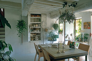 Country-style dining room with wooden table, hanging plants and crockery rack
