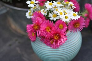 Asters and chamomile in round vase