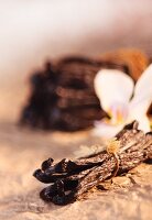 Vanilla pods and vanilla flower