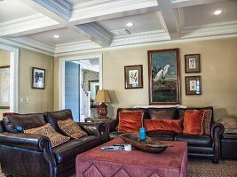 Living Room with Leather Couch with Velvet Pillows