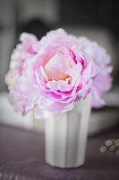 Pink peony in white beaker