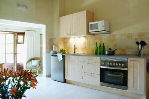 Breiter Durchgang in moderner Küche mit schlichter Küchenzeile aus hellem Holz