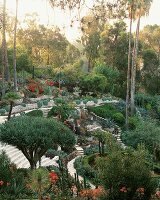 Desert style garden in Los Angeles, California