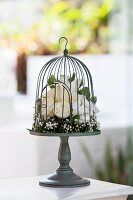 Vintage bird cage decorated with white roses